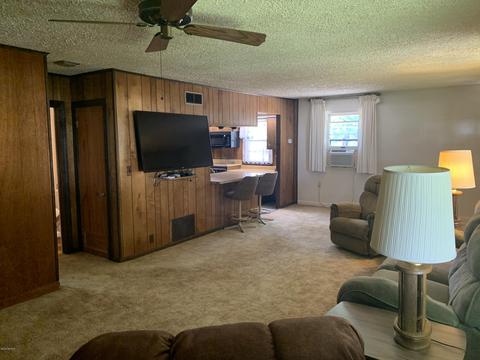 305 N Tabor St, Lyons, MI 48851 photo 8