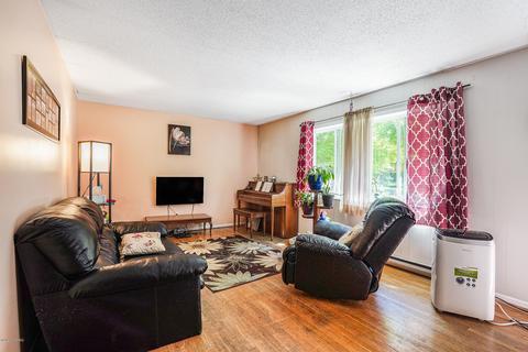 235 S Webster St, White Cloud, MI 49349 photo 16