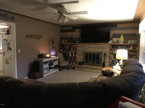 123 W Gilson St, Edmore, MI 48829 photo 8