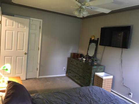 123 W Gilson St, Edmore, MI 48829 photo 26