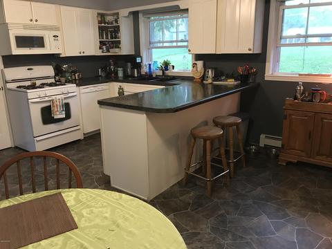 123 W Gilson St, Edmore, MI 48829 photo 13