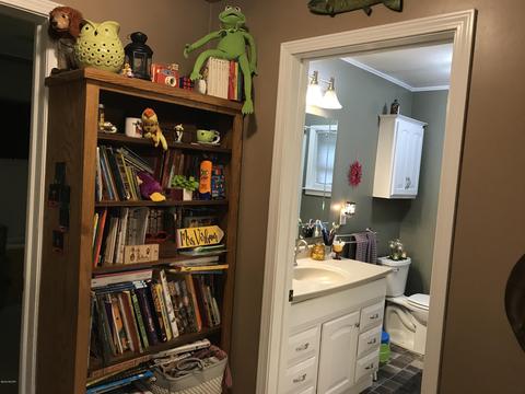 123 W Gilson St, Edmore, MI 48829 photo 16