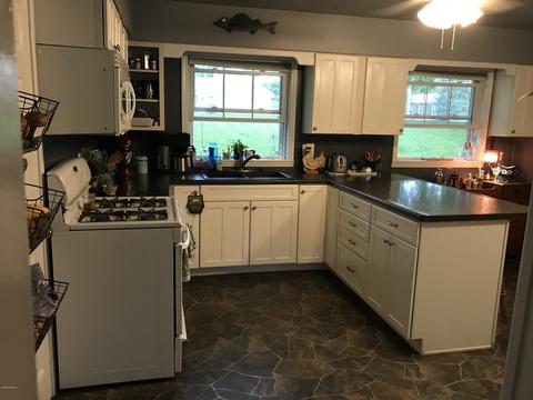 123 W Gilson St, Edmore, MI 48829 photo 12