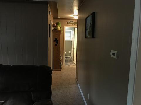 123 W Gilson St, Edmore, MI 48829 photo 19