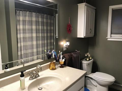 123 W Gilson St, Edmore, MI 48829 photo 18