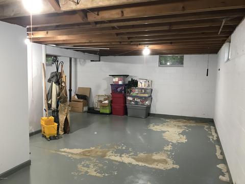 123 W Gilson St, Edmore, MI 48829 photo 31
