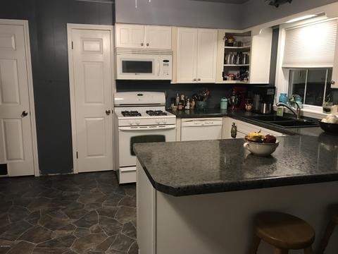 123 W Gilson St, Edmore, MI 48829 photo 11