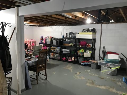 123 W Gilson St, Edmore, MI 48829 photo 29
