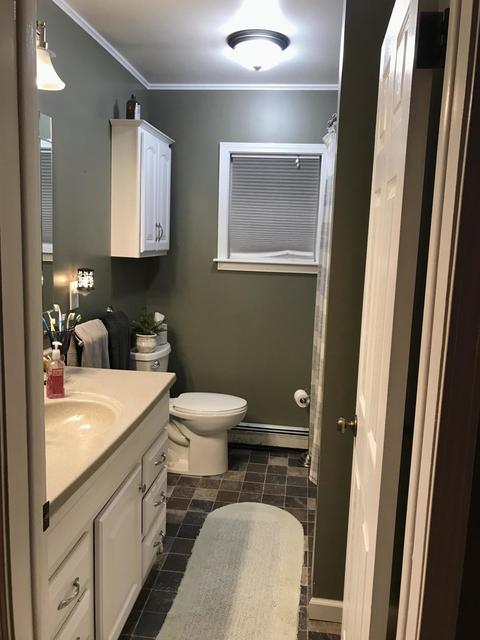 123 W Gilson St, Edmore, MI 48829 photo 17