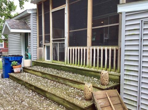 300 First Ave, Manistee, MI 49660 photo 35
