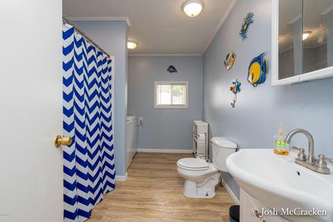 2372 Lakeside Dr, Stanton, MI 48888 photo 26