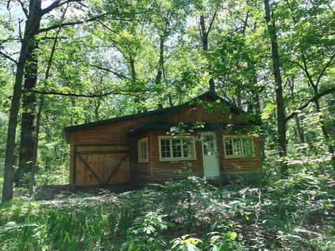 9030 12th Ave, Bitely, MI 49309 photo 8