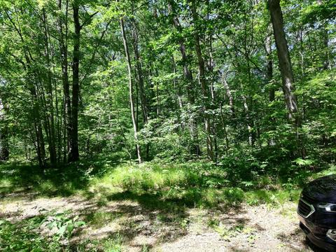 9030 12th Ave, Bitely, MI 49309 photo 6