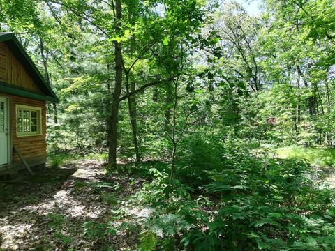 9030 12th Ave, Bitely, MI 49309 photo 5