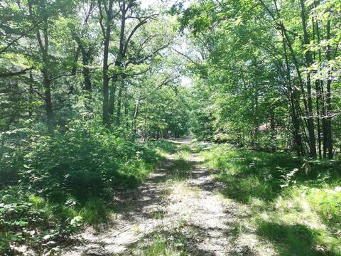 9030 12th Ave, Bitely, MI 49309 photo 7