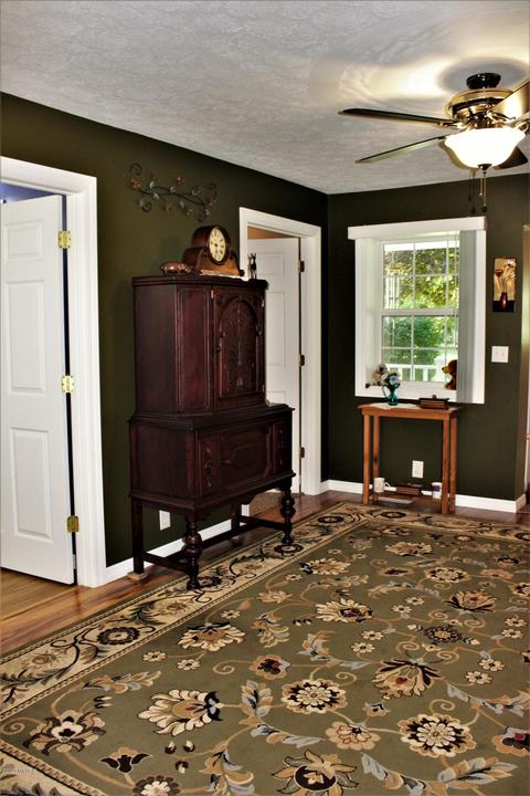322 N Mill St, Stanton, MI 48888 photo 33