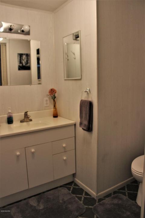 322 N Mill St, Stanton, MI 48888 photo 48