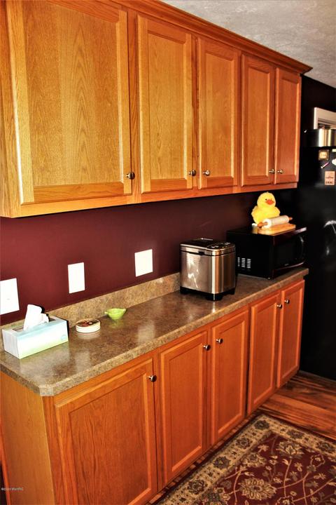 322 N Mill St, Stanton, MI 48888 photo 20