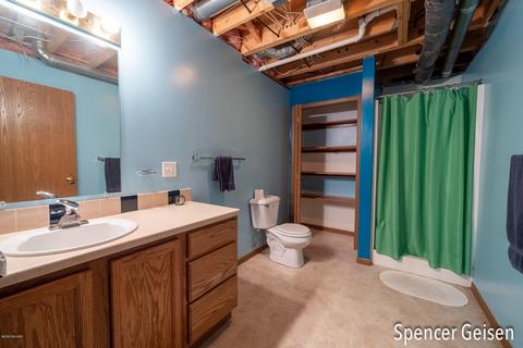 6419 Dusty Ln, Belding, MI 48809 photo 30