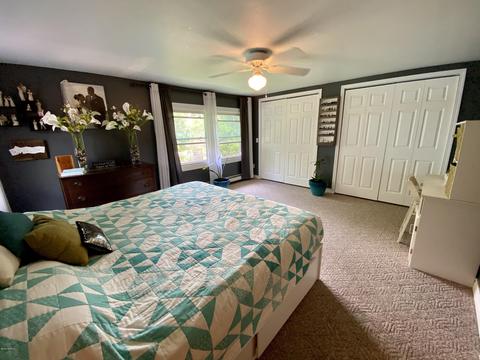 550 S Silver St, Bad Axe, MI 48413 photo 10