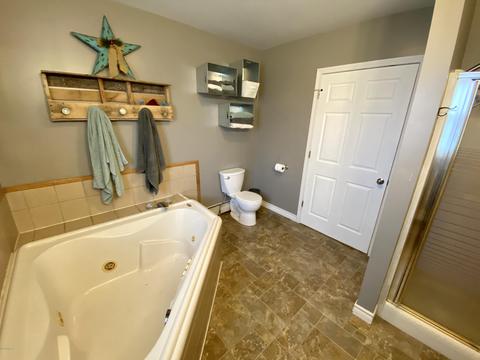 550 S Silver St, Bad Axe, MI 48413 photo 6