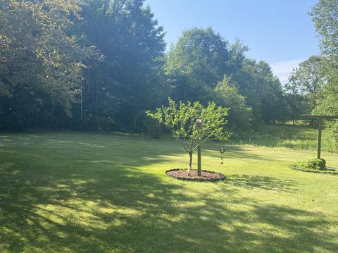 6929 E Jackson Rd, Walkerville, MI 49459 photo 23