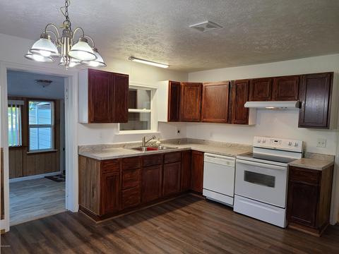 117 E Gilson St, Edmore, MI 48829 photo 2
