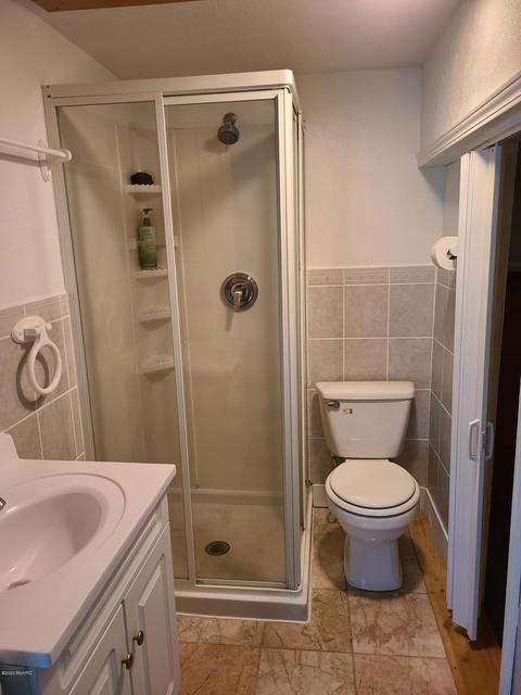 117 E Gilson St, Edmore, MI 48829 photo 9