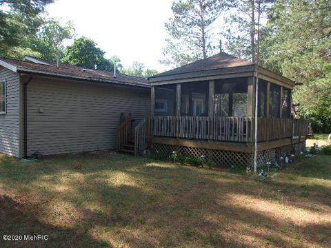 6980 N Matson Rd, Irons, MI 49644 photo 19