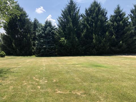 10331 Fairway Dr, Jerome, MI 49249 photo 28