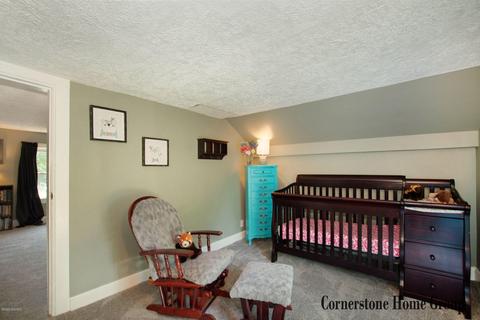 223 Maple St, Lowell, MI 49331 photo 19