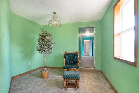 210 E Parmeter Rd, Ionia, MI 48846 photo 24