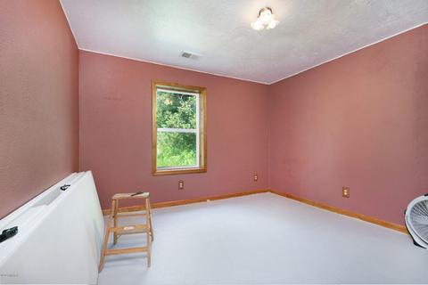 210 E Parmeter Rd, Ionia, MI 48846 photo 23