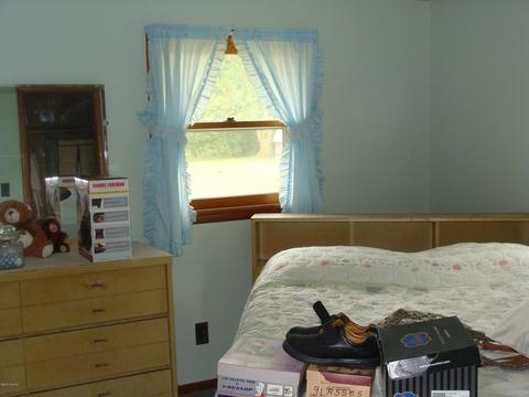 988 Somers Rd, Lyons, MI 48851 photo 20