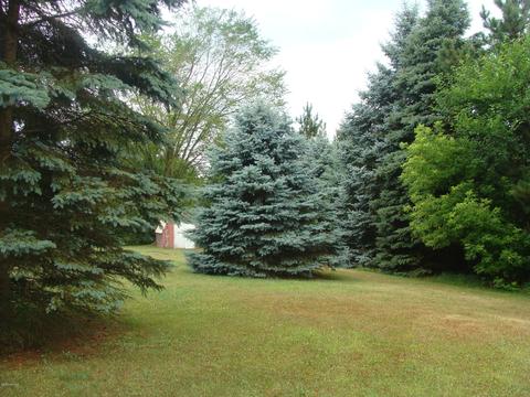 988 Somers Rd, Lyons, MI 48851 photo 8