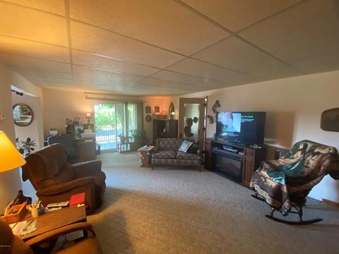 731 S St Johns St, Ithaca, MI 48847 photo 18