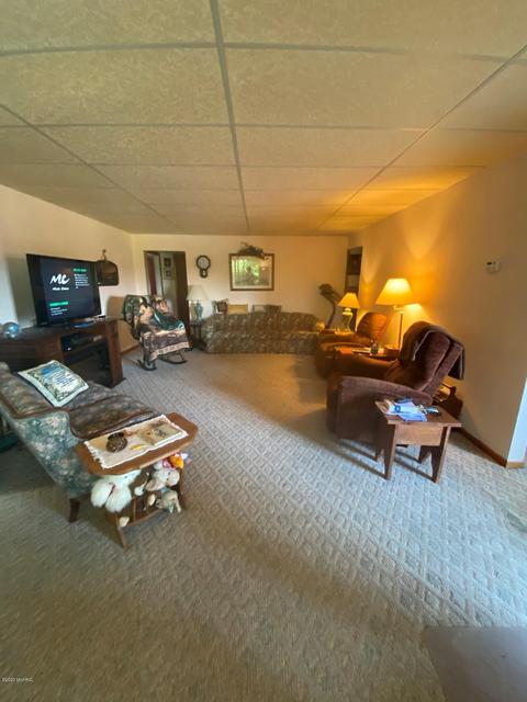 731 S St Johns St, Ithaca, MI 48847 photo 29