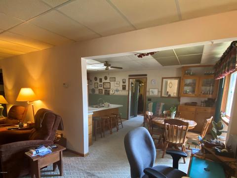 731 S St Johns St, Ithaca, MI 48847 photo 20