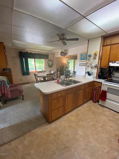 731 S St Johns St, Ithaca, MI 48847 photo 32