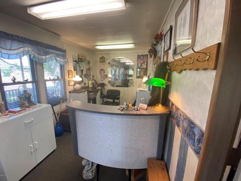 731 S St Johns St, Ithaca, MI 48847 photo 17