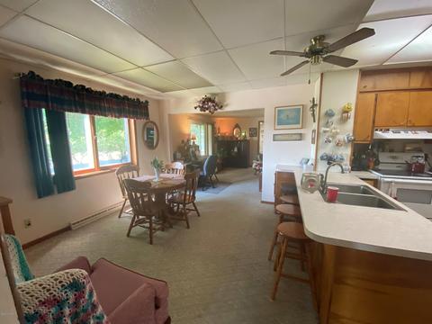 731 S St Johns St, Ithaca, MI 48847 photo 36
