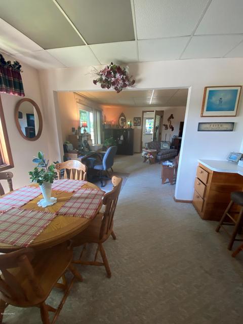 731 S St Johns St, Ithaca, MI 48847 photo 31