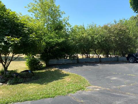 731 S St Johns St, Ithaca, MI 48847 photo 9