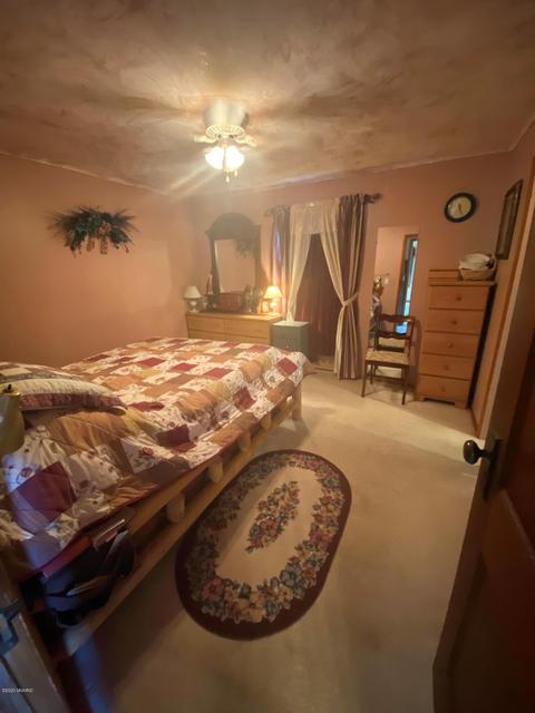 731 S St Johns St, Ithaca, MI 48847 photo 24