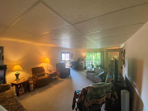 731 S St Johns St, Ithaca, MI 48847 photo 21