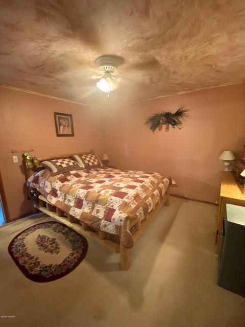 731 S St Johns St, Ithaca, MI 48847 photo 22