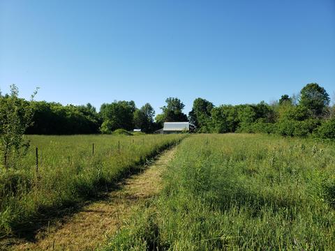 5959 E Hansen Rd, Custer, MI 49405 photo 24