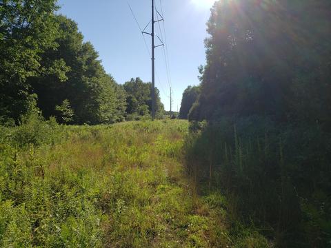 5959 E Hansen Rd, Custer, MI 49405 photo 30