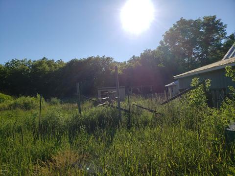 5959 E Hansen Rd, Custer, MI 49405 photo 44