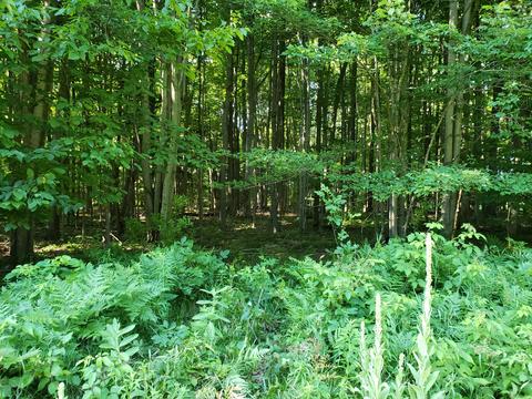 5959 E Hansen Rd, Custer, MI 49405 photo 29